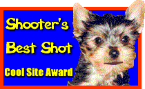 Shooter's Cool Site Award
